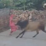217768568d53c7fc6678.mp4-9