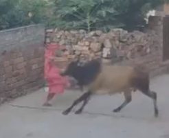 217768568d53c7fc6678.mp4-9