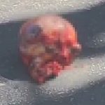 事故に遭って死亡した女の死体、頭蓋骨が飛び出した状態に…