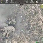 156925468db1bff15b31.mp4-7