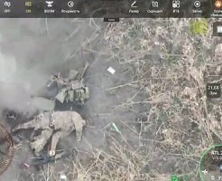 156925468db1bff15b31.mp4-7
