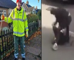 18233986901583804a01.mp4-3