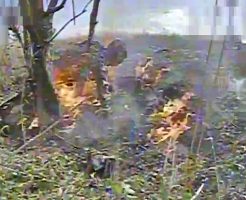 185979868e03f3b6ead8.mp4-9