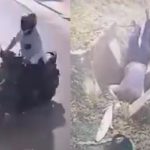 ただの衝突事故では終わらなかった…6フィート下に落ちていった男