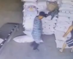 217768568e8395c7c4fe.mp4-9