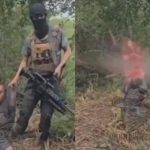 見えていた末路、カルテルに捕まった男が頭を吹き飛ばされる 見えていた末路、カルテルに捕まった男が頭を吹き飛ばされる