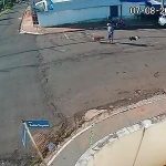こんなことで…犬に轢かれた男、顔面から着地し四肢麻痺になる