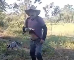 95447568e68c15d4f99.mp4-3