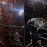 コンサート会場で女警官を殴ったまんさん、反撃されてKO