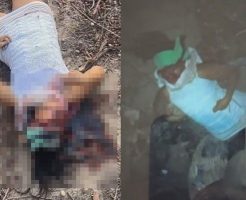 kCTLZyYIBBv6yEW1761723015_1761723031