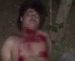 kOUD6wLP8nU433g1761896915_1761896931