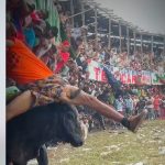 棒を使って雄牛を飛び越える男、雄牛の攻撃を受けて強制退場 棒を使って雄牛を飛び越える男、雄牛の攻撃を受けて強制退場