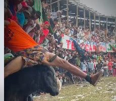 134150569191bd401561.mp4-9