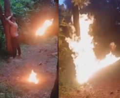 159693369169fd173f0e.mp4-3