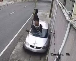 18233986904341e9a709.mp4-3