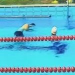 飛び込み禁止にするべきだった…中国のプールに飛び込んだ男、溺死 飛び込み禁止にするべきだった…中国のプールに飛び込んだ男、溺死