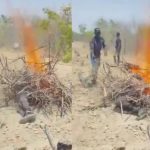 変態ペド野郎の末路、生きたまま燃やされて大火傷 変態ペド野郎の末路、生きたまま燃やされて大火傷