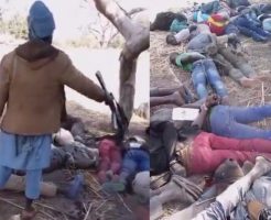 2177685690deaa450ec5.mp4-9