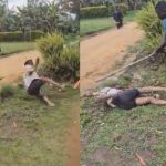 無力なBBAを強盗した男、こん棒で殴られた後に石を投げられ死亡