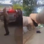 ナイフを持って警察に突撃してくる殺人容疑者、警察に撃たれ死亡 ナイフを持って警察に突撃してくる殺人容疑者、警察に撃たれ死亡