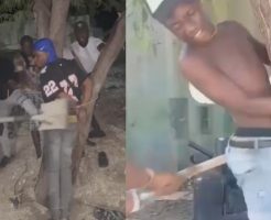 2177685691c496647c35.mp4-9