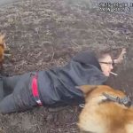 指名手配中の容疑者が警察から逃げる→警察犬に噛まれて逮捕