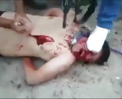 2241959690c8f26d9f85.mp4-7