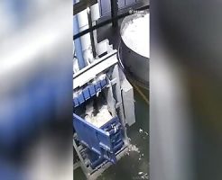 252615690cf6e5a2fd5.mp4-3