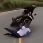 バイカーかわいそう…道路を走るスケートボーダー、前から来たバイクに轢かれる
