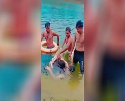 55243369129c94c7ada.mp4-3