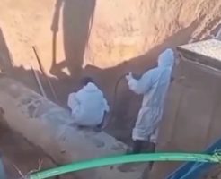 55243369164fabe1abf.mp4-3