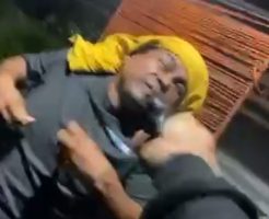 5524336919b60bcab4d.mp4-3