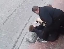 552433692a705063350.mp4-3