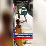 強盗犯を轢くつもりが…車が被害者を轢いて強盗犯にも逃げられる