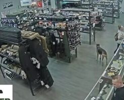 63652692368c56fa39.mov-3