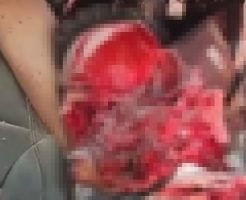 7WOBIJNnhznJ8a61763966100_1763966123