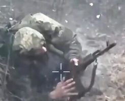 845342691b6f865b856.mp4-3