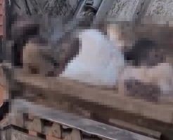 8sD8FHZK7KeT3fQ1763741782_1763741797