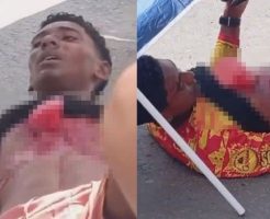 BzxX1ZNWdwksYTd1763874367_1763874400