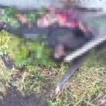 一発で死ななかったロシア兵に2発目の爆撃をプレゼント 一発で死ななかったロシア兵に2発目の爆撃をプレゼント