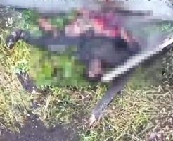 EpQRnxFZqJWG4mE1763369447_1763369466