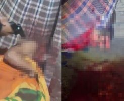 H1gInp5YvIoJRO91763542566_1763542596