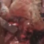 神などいなかった…襲撃を受けた教会、虐殺が行われ死体が…