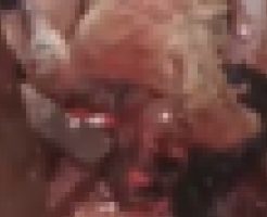 fCxE0vF0x858Akb1764144941_1764144954