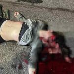 陸橋から落ちた女、スピード違反の車にとどめを刺され完全終了