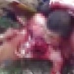 こんな死に方したくない…生きたまま残酷に殺されていく人たち