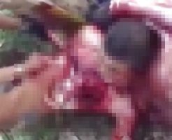 hq8jZbRDO0QBaiY1762935653_1762935669