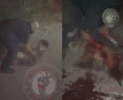 ywf26zbF3omMbEr1763888591_1763888616