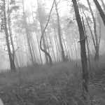 ウクライナの特殊作戦部隊、ロシアの部隊を壊滅させることに成功 ウクライナの特殊作戦部隊、ロシアの部隊を壊滅させることに成功