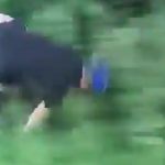 一体なぜこんなことを…自転車で走る男を押して森林の中へ